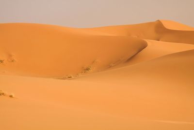 Scenic view of desert against sky