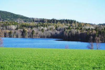 Scenic view of lake against clear sky