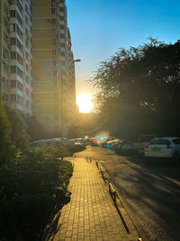 Street amidst trees against sky during sunset