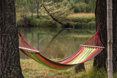 Hammock on trees by river in forest