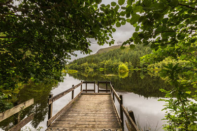 Footbridge over lake against trees