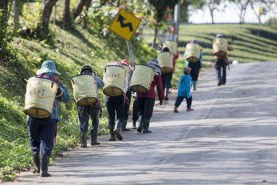 Rear view of people walking on road