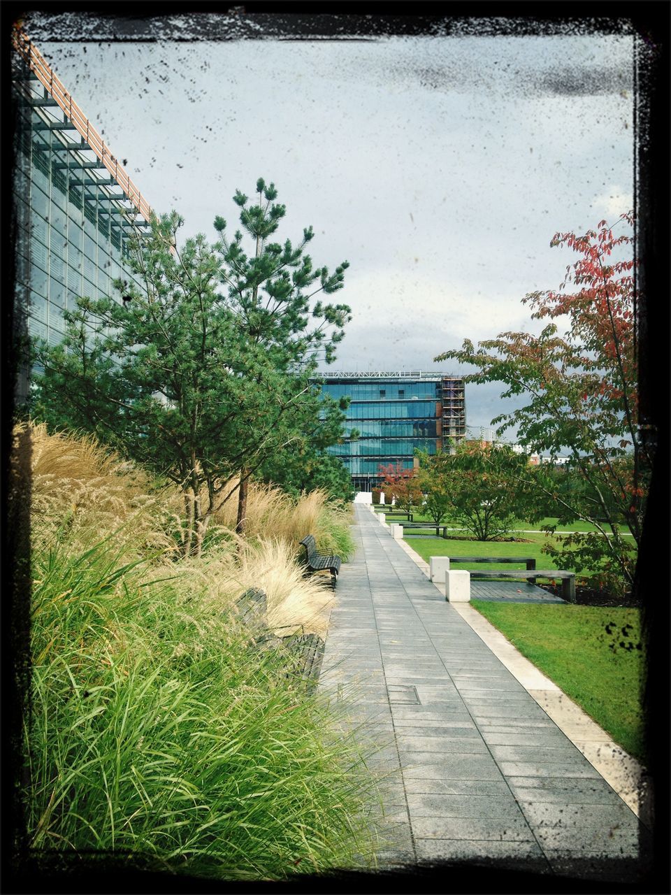 transfer print, building exterior, architecture, built structure, auto post production filter, grass, the way forward, tree, sky, footpath, growth, plant, green color, walkway, day, sunlight, outdoors, no people, city, diminishing perspective