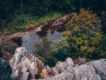 High angle view of water flowing through rocks in forest