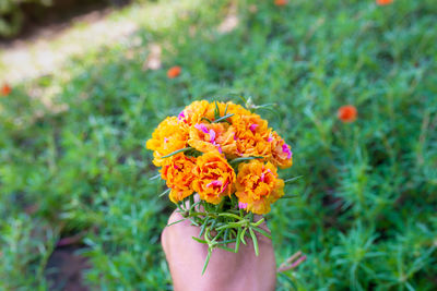 Close-up of hand holding bouquet