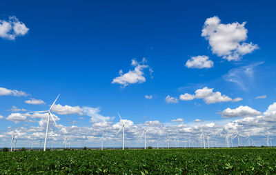 Windmills for electric power production in cassava field on blue sky 