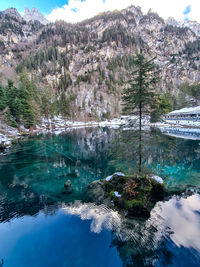 Scenic view of lake by trees against sky