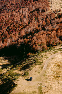 Scenic view of land against trees and rock formation