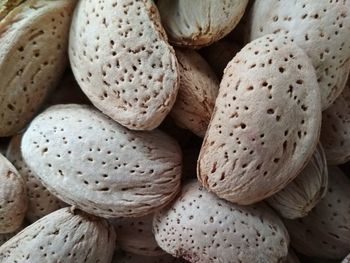 Full frame shot of bread