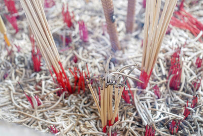 Close-up of cross in temple