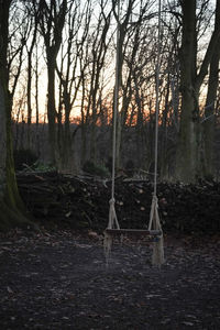 Bare trees in forest against sky