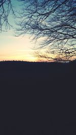 Silhouette of trees at sunset