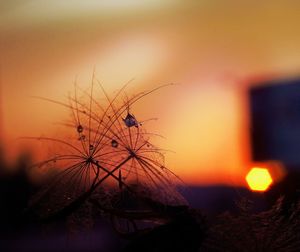 View of sky at sunset