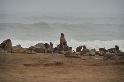 Rocks on beach against sky