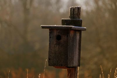 Old mail box on wooden post at field