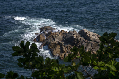 High angle view of rocks on beach