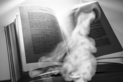 High angle view of cat and book on table