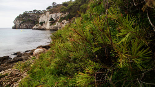 Scenic view of rock formation in sea