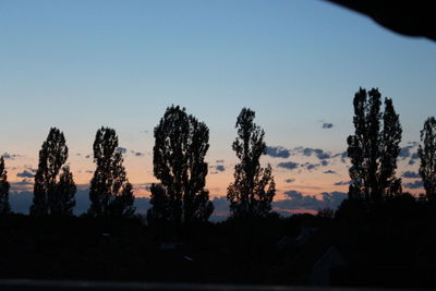 Silhouette trees against sky during sunset