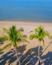 Scenic view of beach