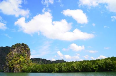 Scenic view of trees against sky