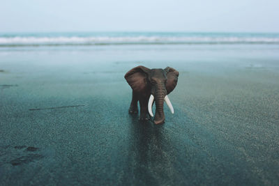 View of elephant miniature on calm beach against clear sky
