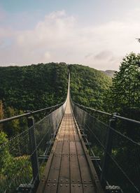 Brown wooden hanging bridge in the evergreen tropical forest over top