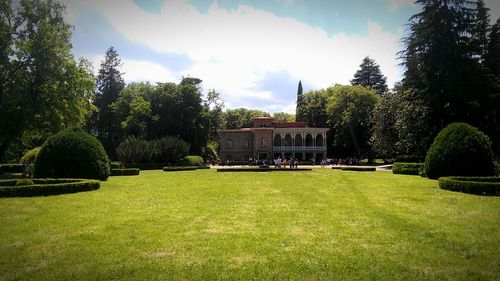 Trees and grass against sky
