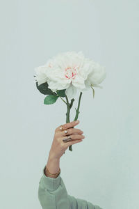 Hand in costume jewelry holding flowers on white wall background. spring summer fashion 