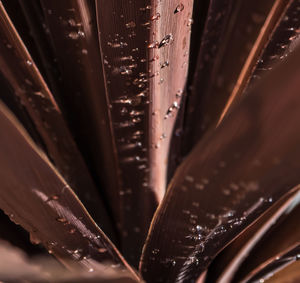 Full frame shot of wet glass