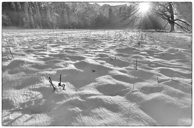 Scenic view of snow covered landscape