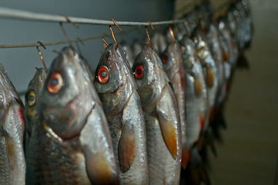 Close-up of fish for sale