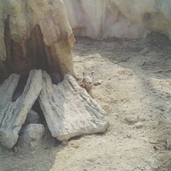 sand