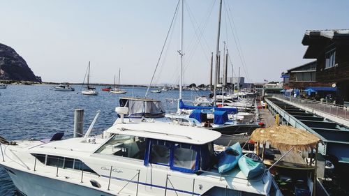 Boats moored in harbor