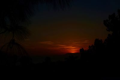 Silhouette trees at sunset