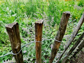 Wooden fence on field