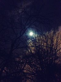 Low angle view of bare trees against sky at dusk