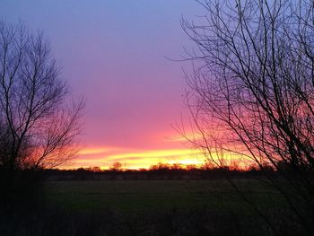 Silhouette trees on field against orange sky