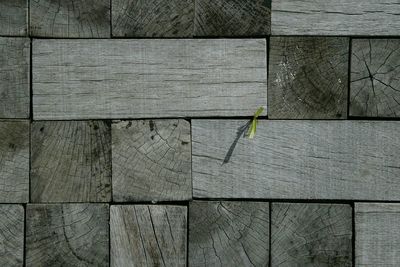 Full frame shot of tiled floor