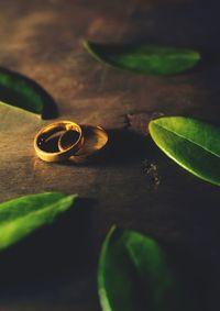 Close-up of love on table