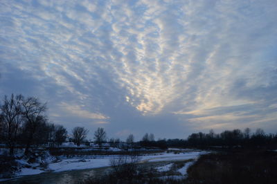 Scenic view of trees against sky during winter