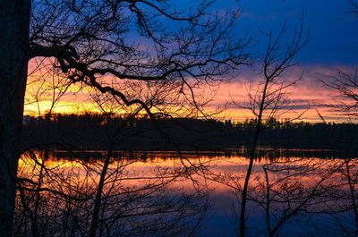 Silhouette of bare trees by lake at sunset