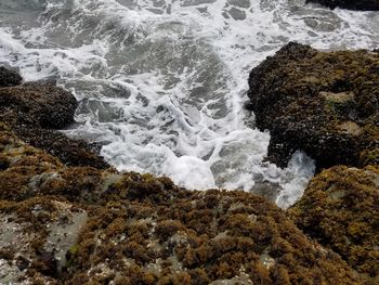 High angle view of waves splashing on rocks