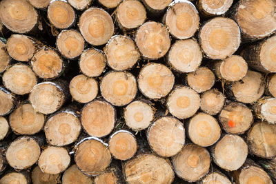 Full frame shot of logs