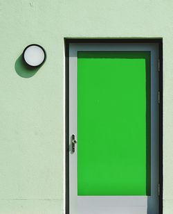 Door with green roller blind