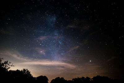 Low angle view of silhouette trees against star field at night