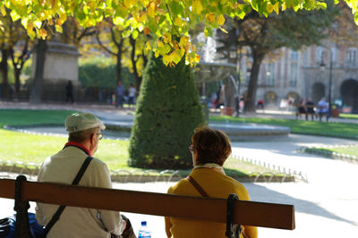 Rear view of people in park