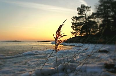 Scenic view of sunset