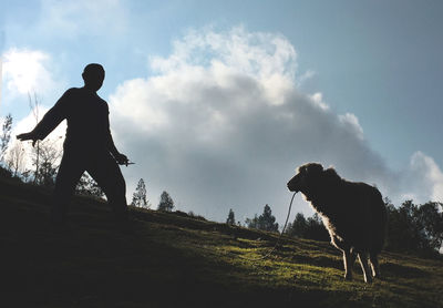 Low angle view of silhouette man standing on hill with sheep against sky