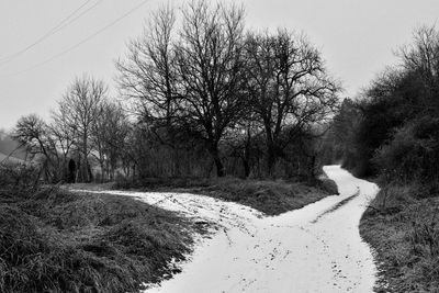 Bare trees on road against clear sky